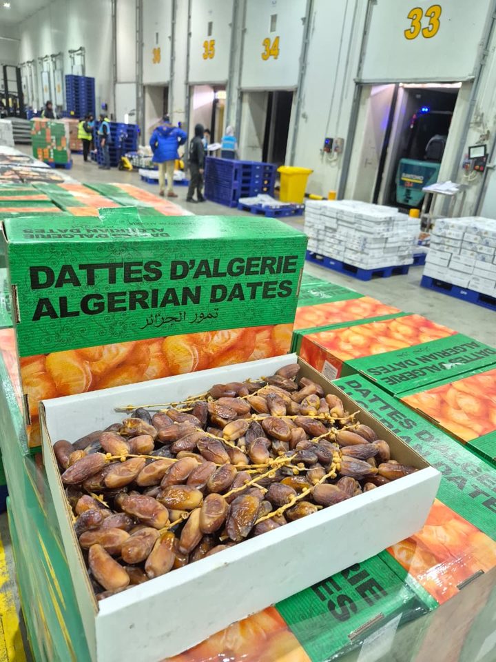 Kurma Aljazair disimpan di gudang pendingin siap didistribusikan