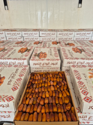 Deglet Noor Natural Libya 5 kg