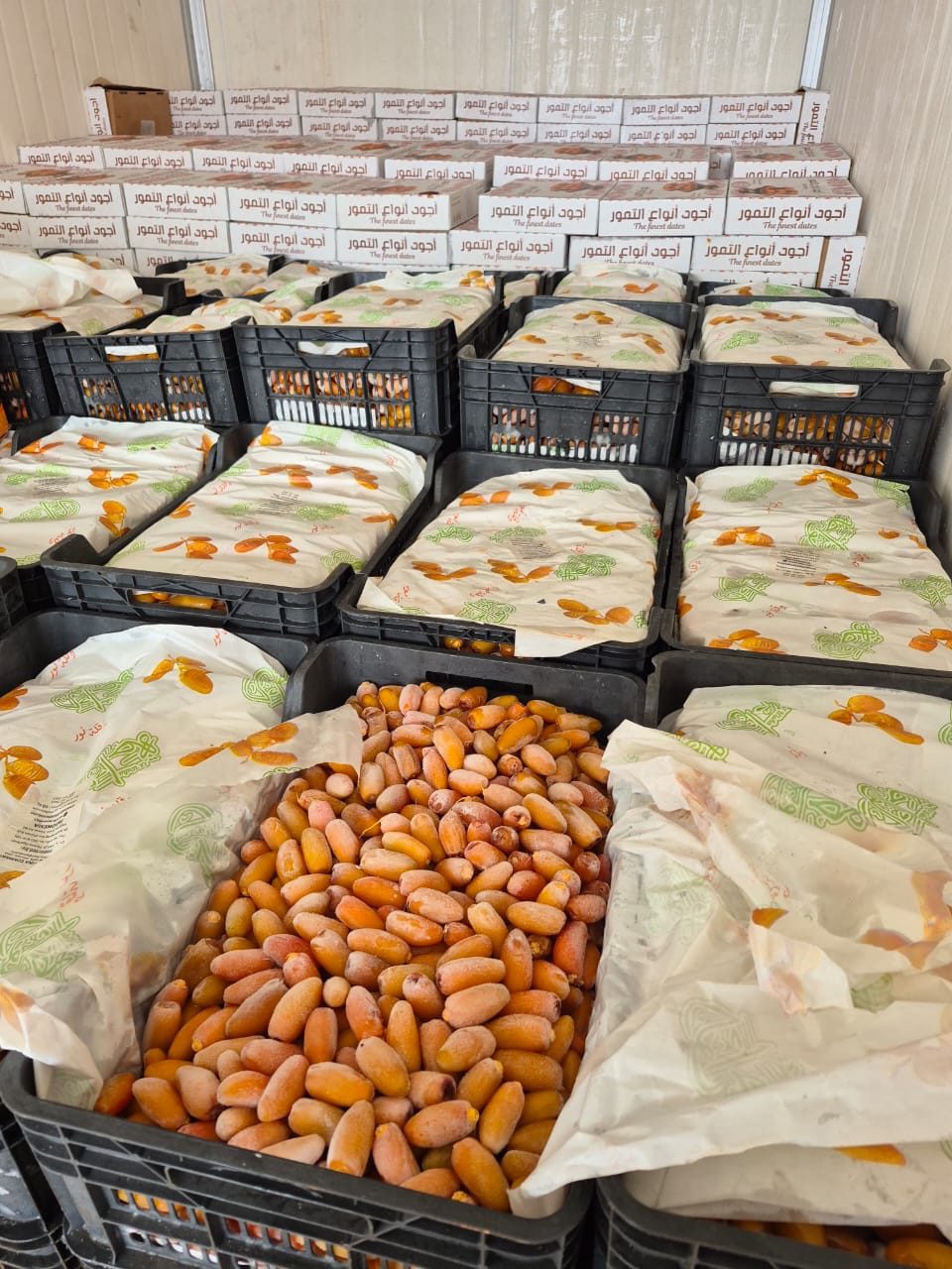 Kurma ruthob Libya dalam keranjang